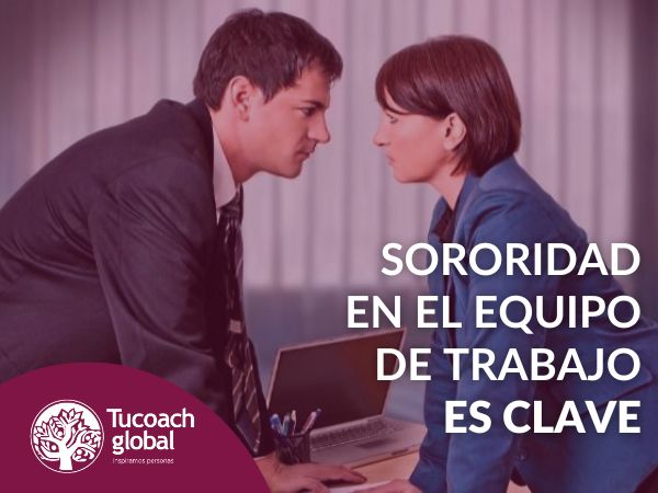 Sororidad en el equipo de trabajo es clave